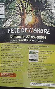 /images/emissions-image/Frederique/fete-de-l-arbre.jpg